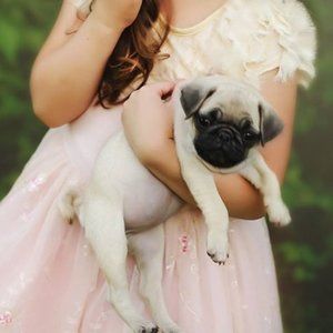 Meet your Posher, Angela